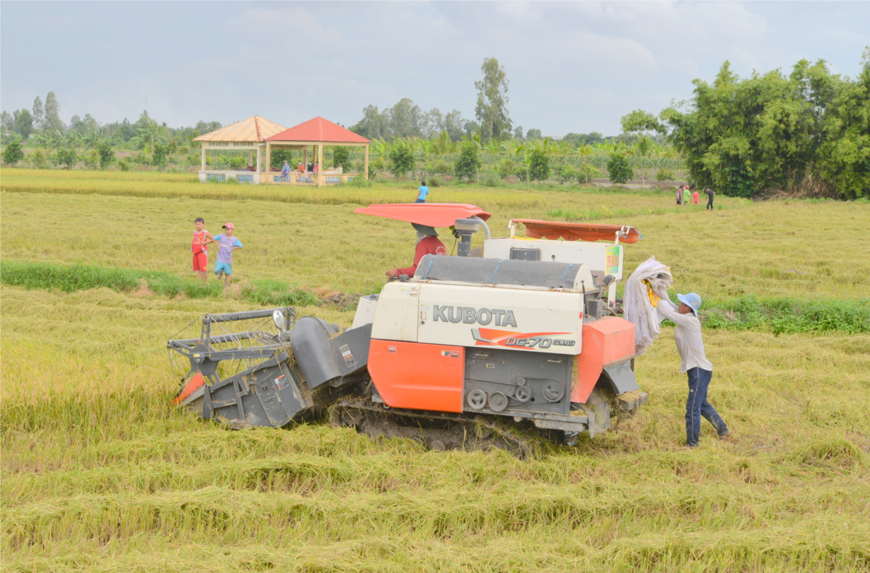 Liên kết ĐBSCL cần hướng đến lợi ích chung của cả vùng (22/4/2022)